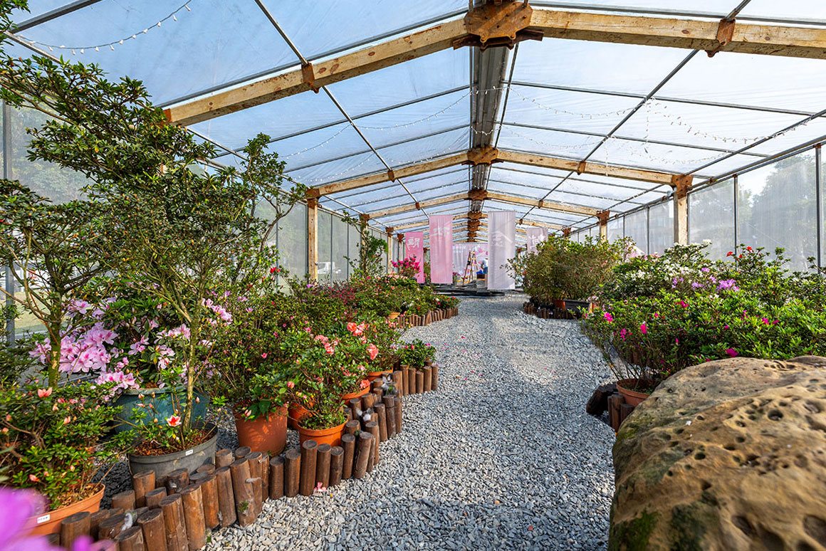 2025萬金杜鵑花展．一起出花｜2025新北景點｜萬里景點推薦