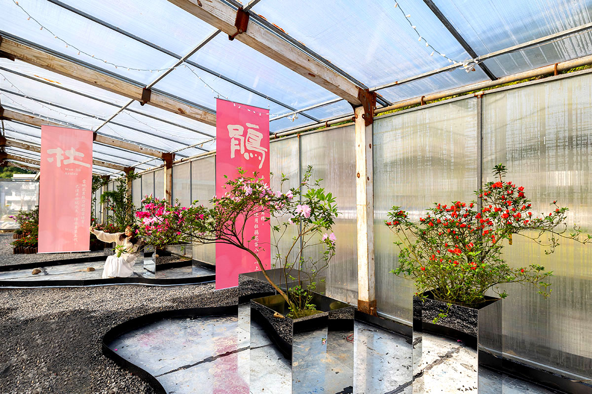 2025萬金杜鵑花展．一起出花｜2025新北景點｜萬里景點推薦