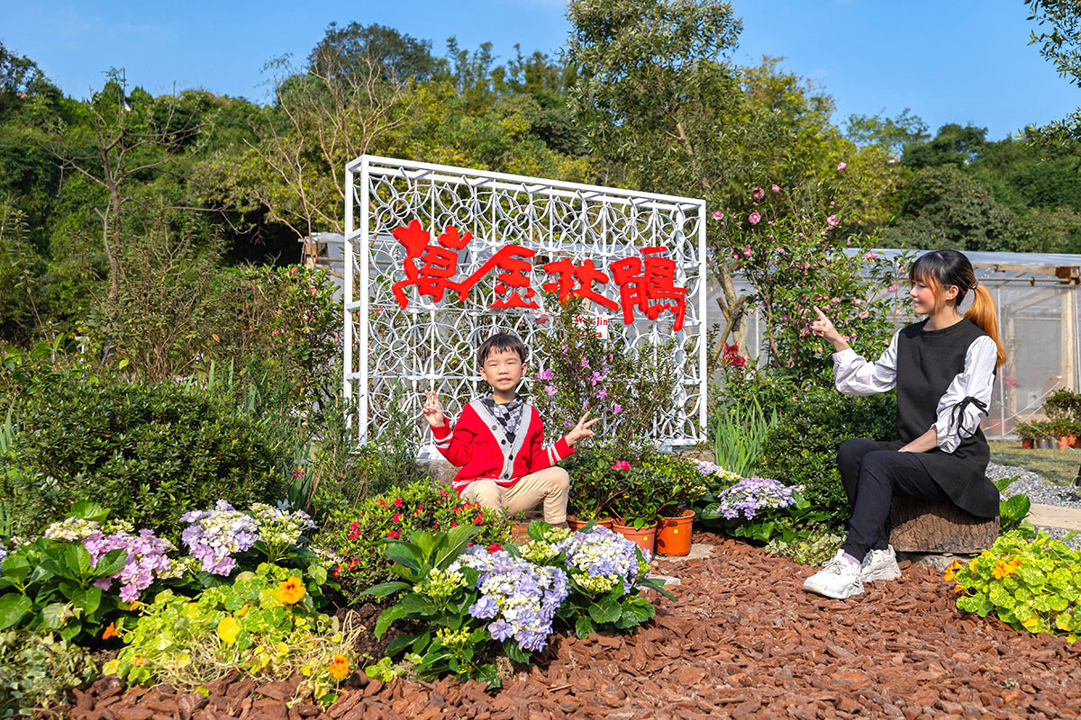 2025萬金杜鵑花展．一起出花｜2025新北景點｜萬里景點推薦