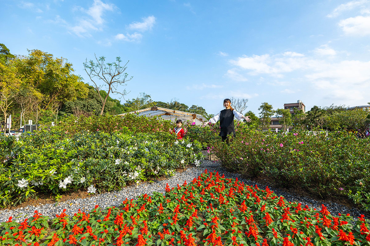 2025萬金杜鵑花展．一起出花｜2025新北景點｜萬里景點推薦