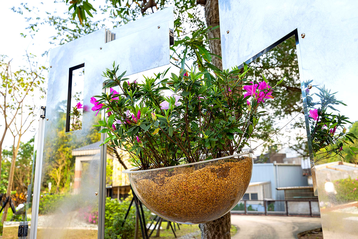 2025萬金杜鵑花展．一起出花｜2025新北景點｜萬里景點推薦