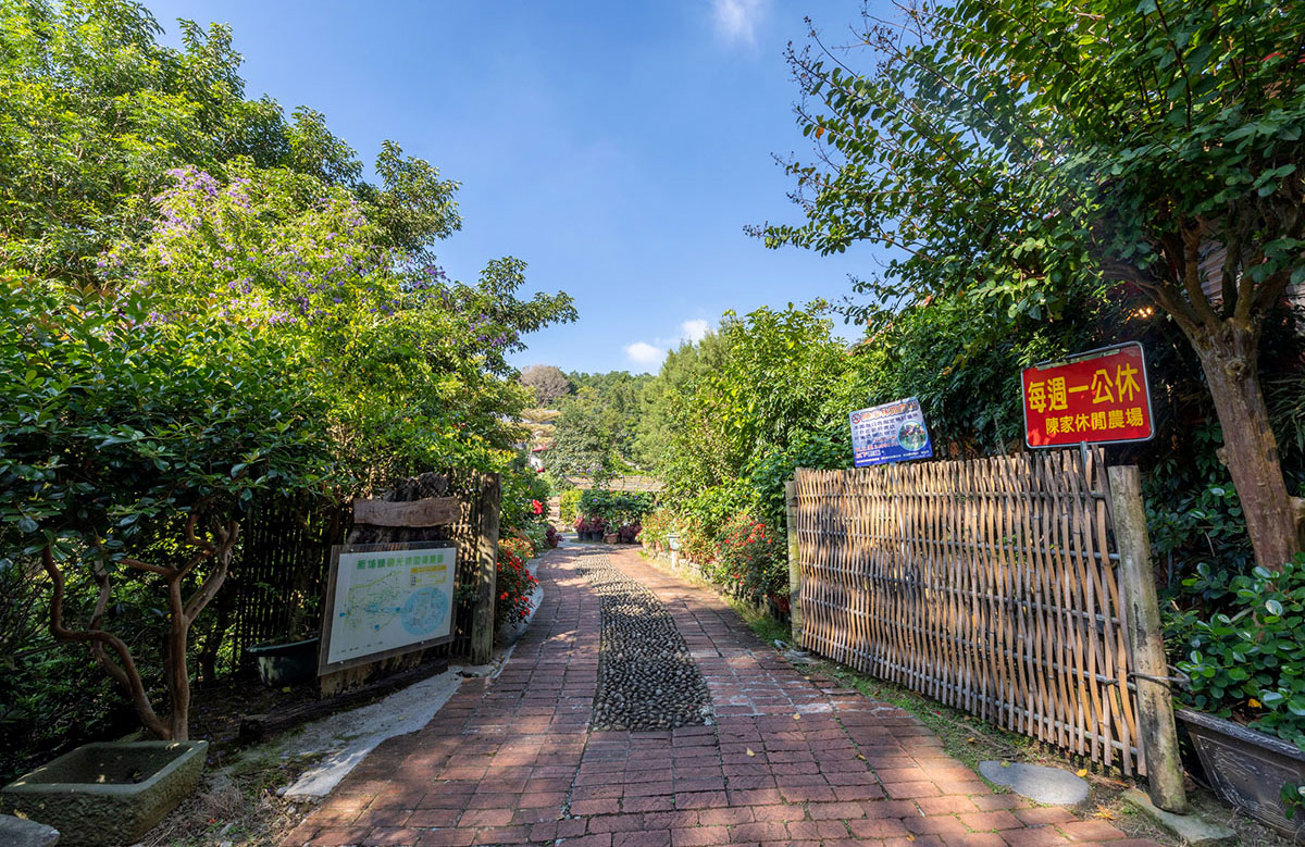 2024春節走春景點「新竹縣農遊5軸帶」陳家休閒農場