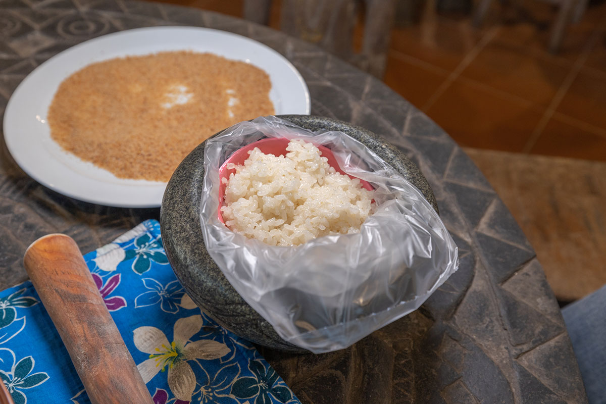 2024春節走春景點「新竹縣農遊5軸帶」陳家休閒農場