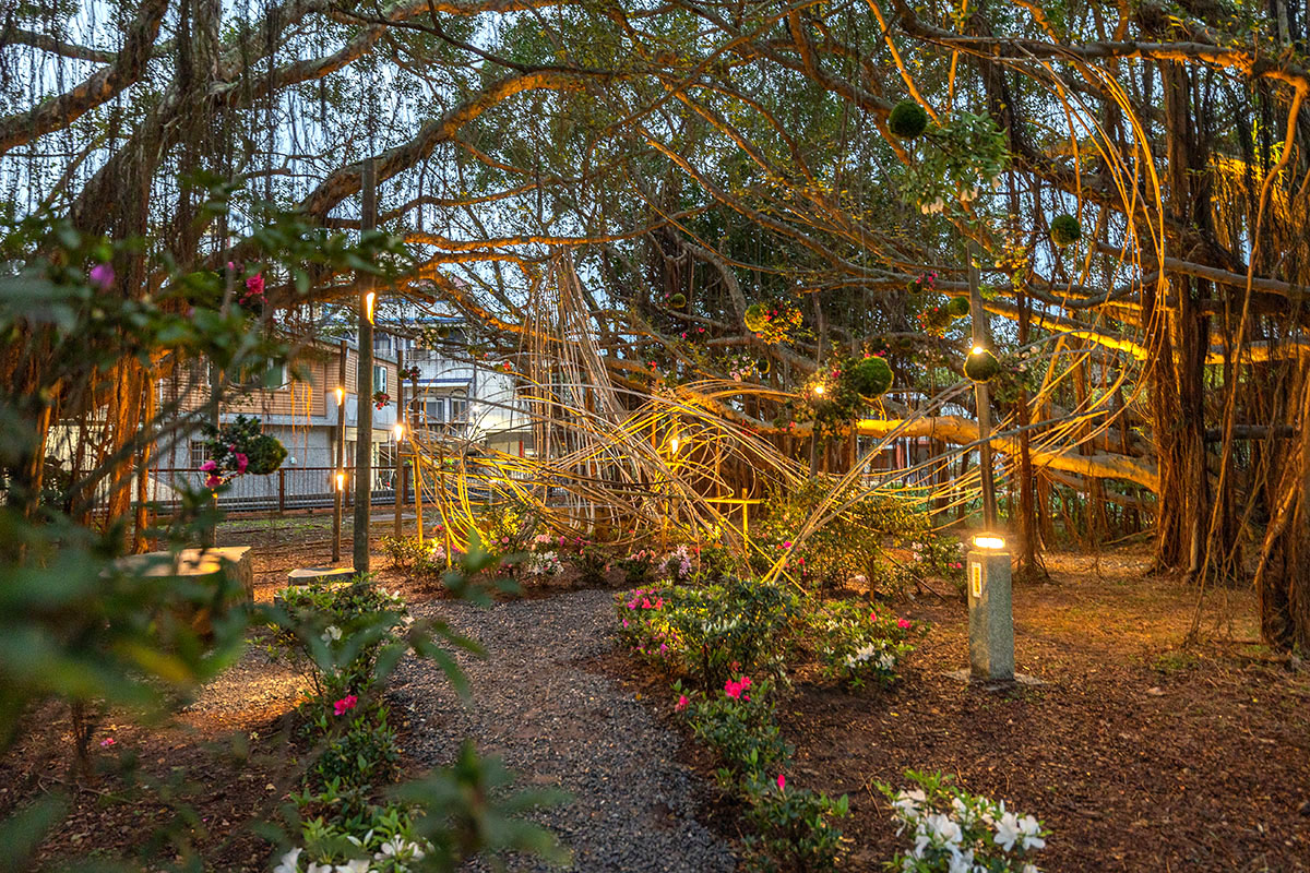 2025萬金杜鵑花展．一起出花｜2025新北景點｜萬里景點推薦