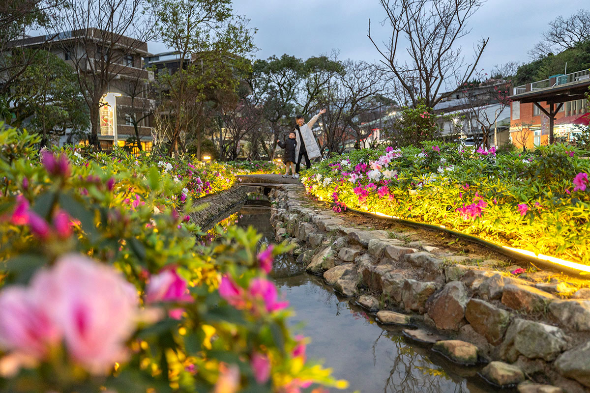 2025萬金杜鵑花展．一起出花｜2025新北景點｜萬里景點推薦