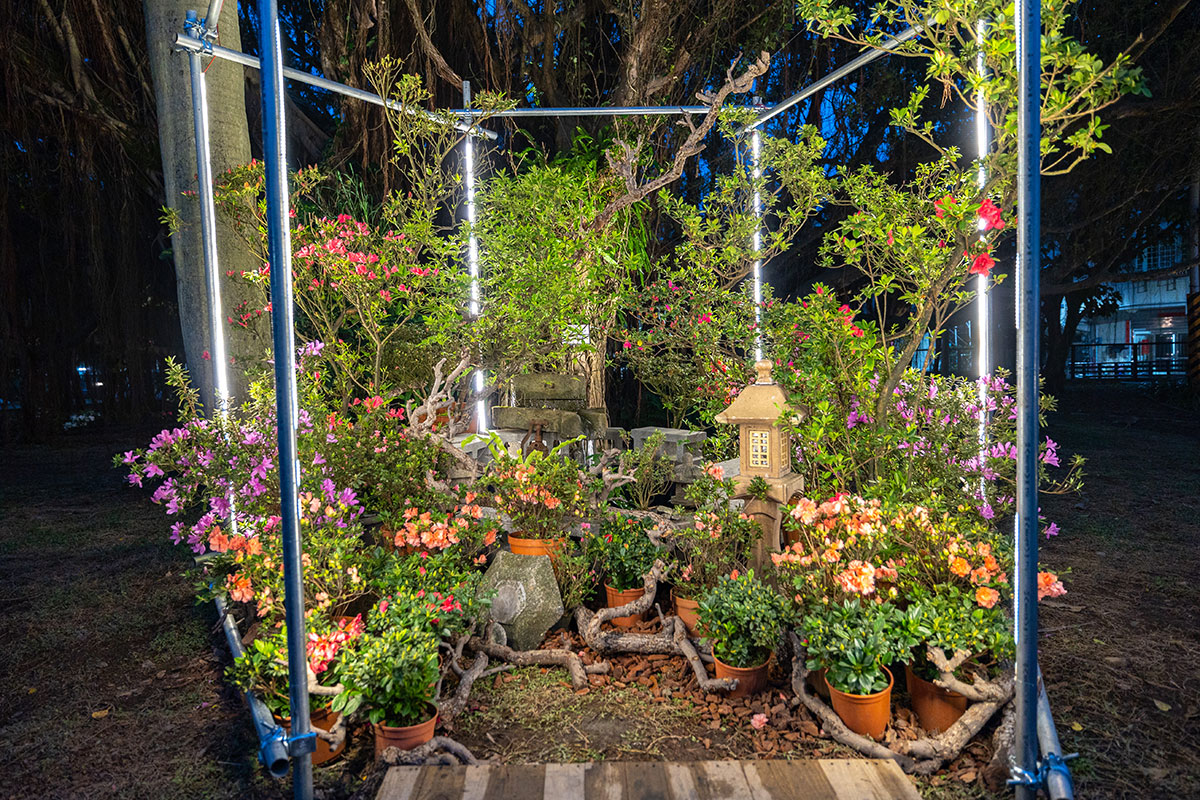 2025萬金杜鵑花展．一起出花｜2025新北景點｜萬里景點推薦