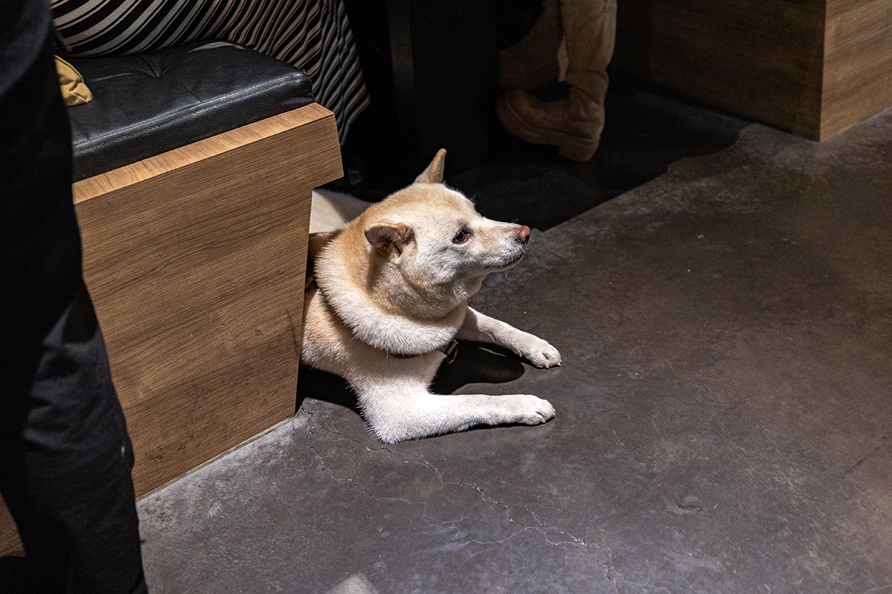 NikuNiku肉肉燒肉五權西店｜台中燒肉店推薦｜台中燒烤推薦