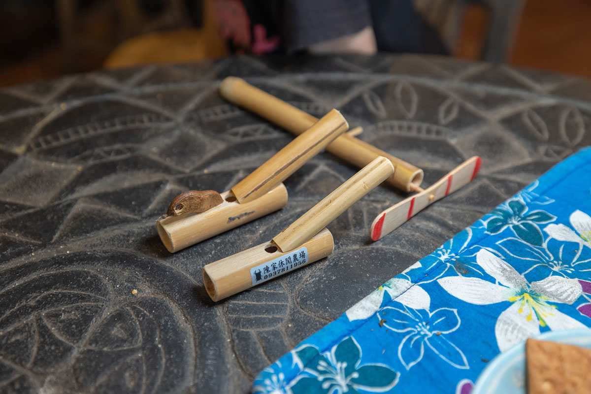 2024春節走春景點「新竹縣農遊5軸帶」陳家休閒農場