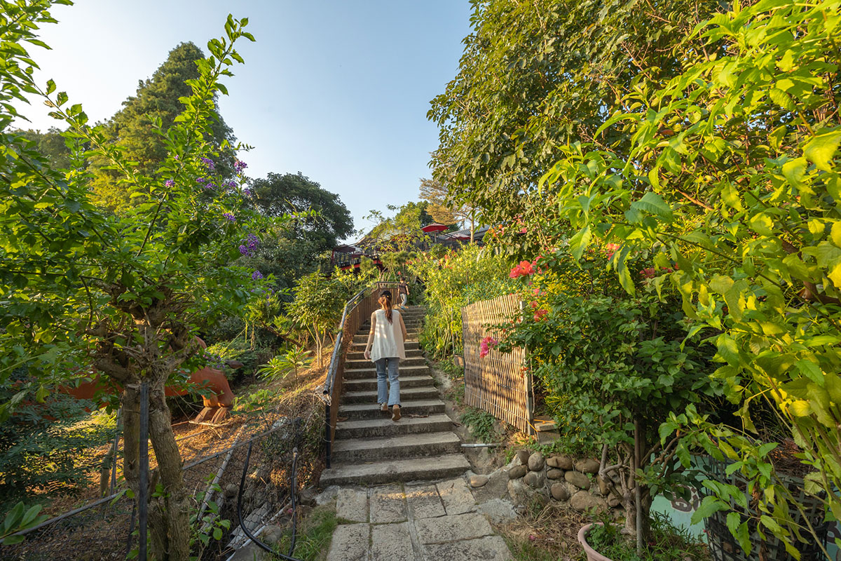 2024春節走春景點「新竹縣農遊5軸帶」陳家休閒農場