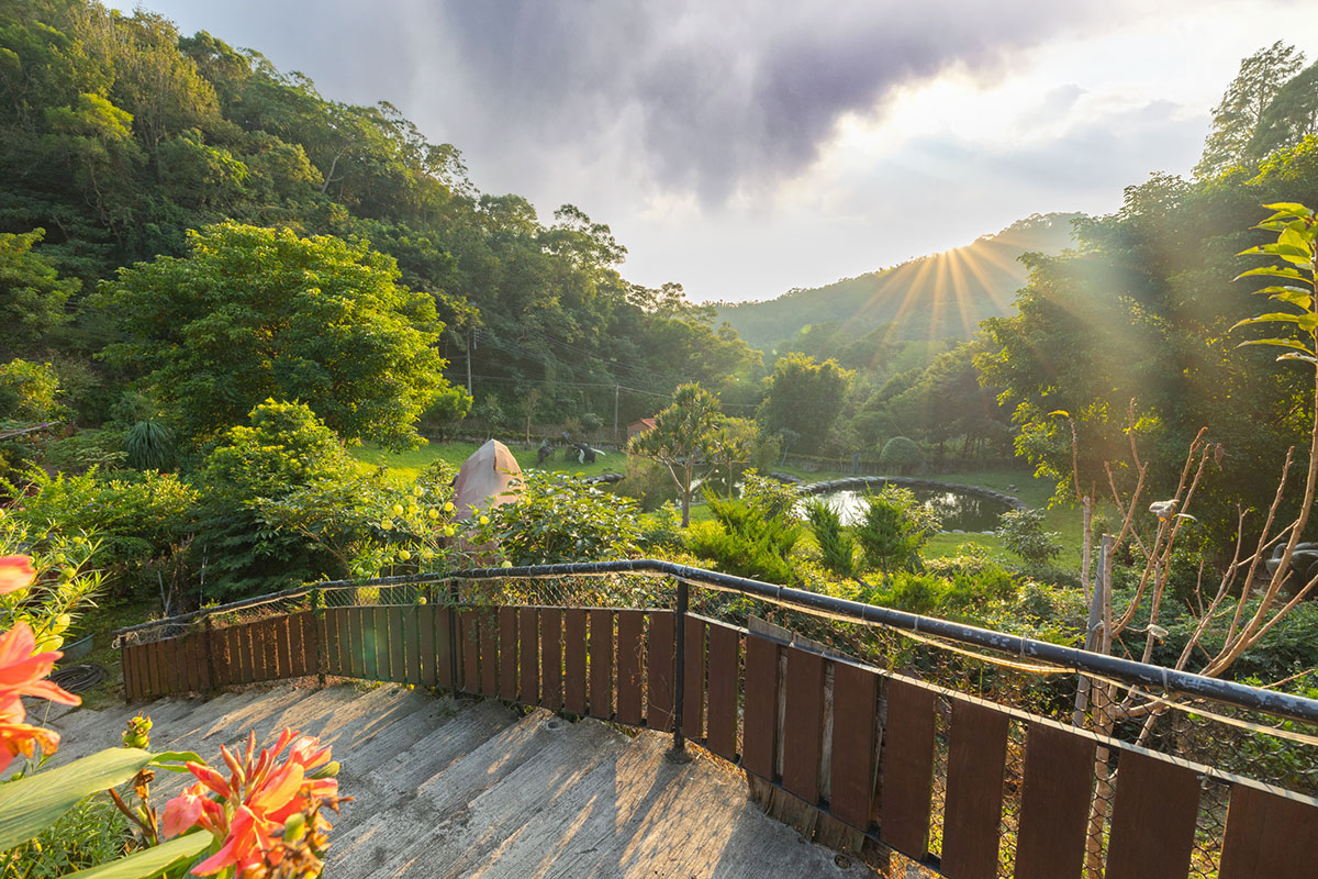 2024春節走春景點「新竹縣農遊5軸帶」陳家休閒農場