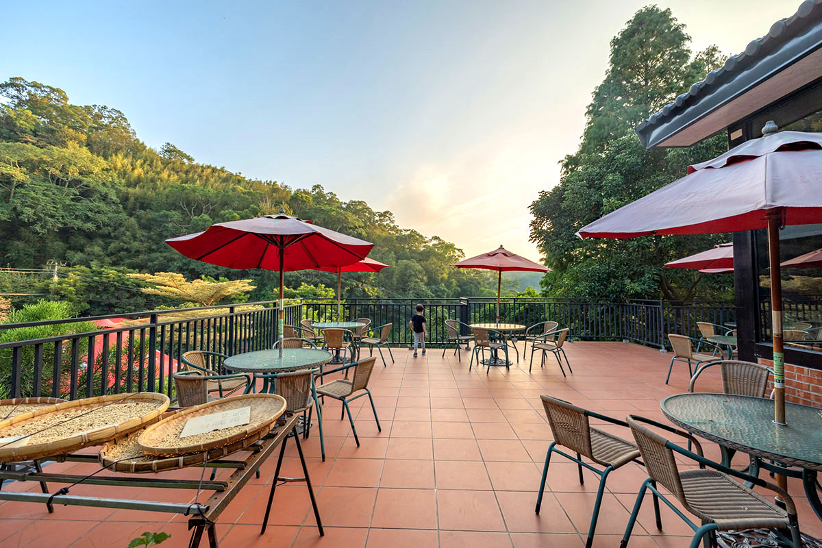 2024春節走春景點「新竹縣農遊5軸帶」陳家休閒農場