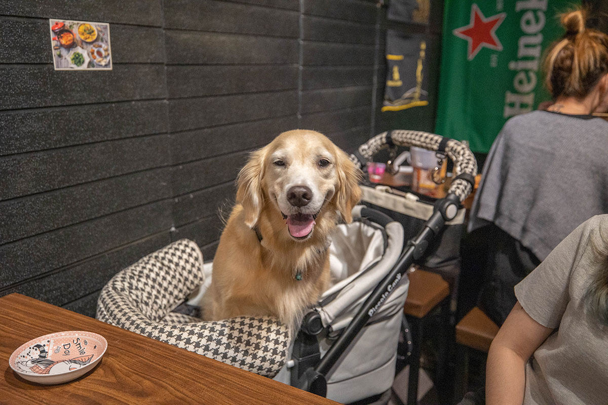 泰夯串燒-板橋浮洲店