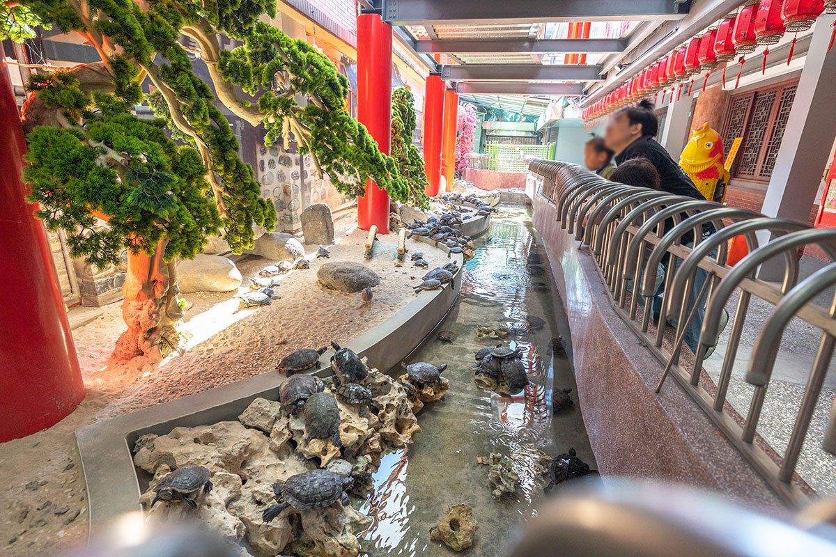 台中南天宮｜2024台中走春