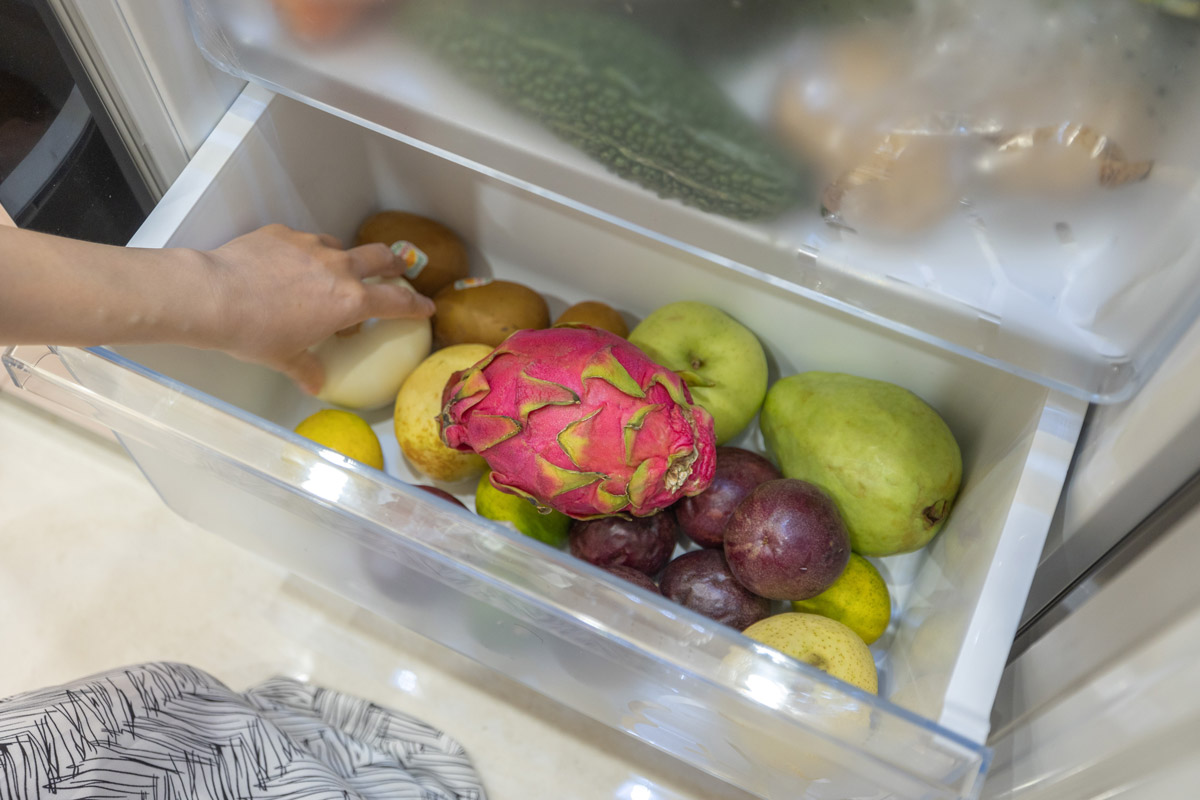 大同玩色超薄對開雙門冰箱｜買冰箱注意事項｜挑選冰箱｜買冰箱