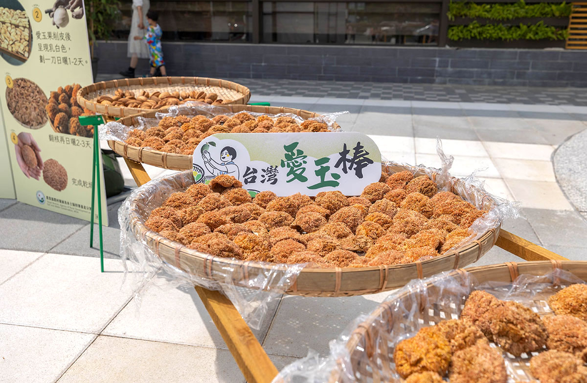 暑期親子夏令營活動-愛玉小學堂「關西愛玉季」