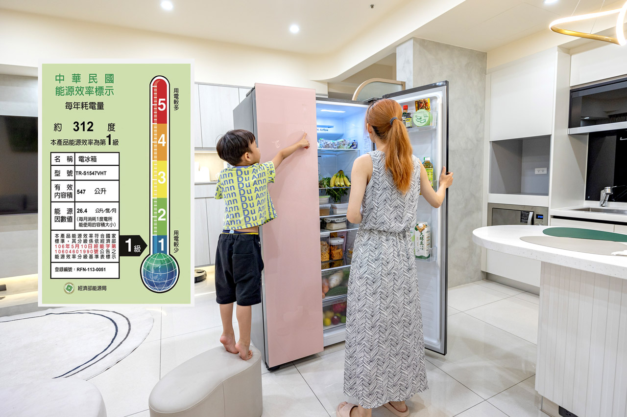 大同玩色超薄對開雙門冰箱｜買冰箱注意事項｜挑選冰箱｜買冰箱