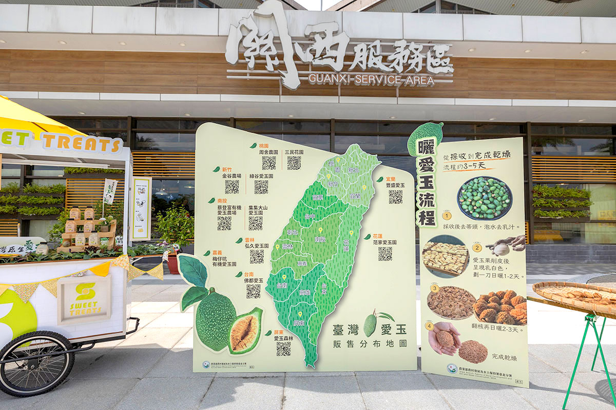 暑期親子夏令營活動-愛玉小學堂「關西愛玉季」