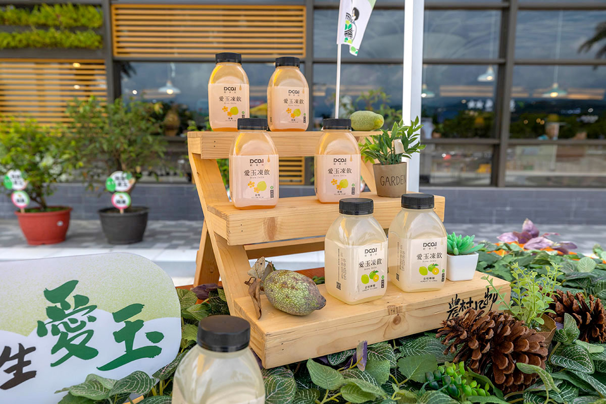 暑期親子夏令營活動-愛玉小學堂「關西愛玉季」