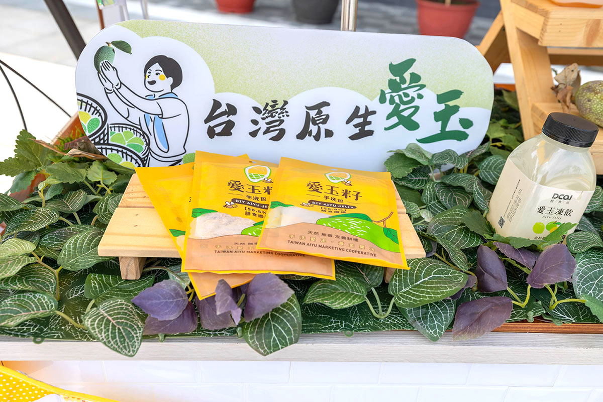 暑期親子夏令營活動-愛玉小學堂「關西愛玉季」