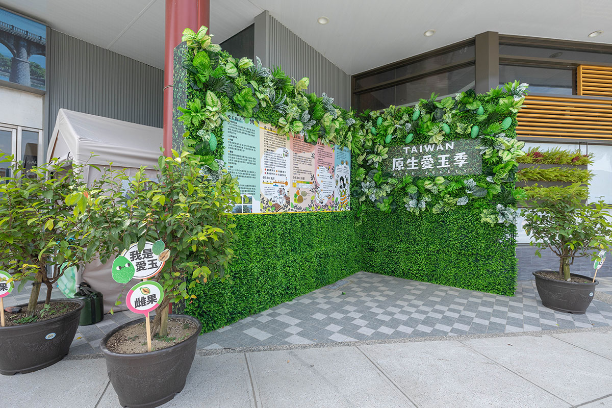 暑期親子夏令營活動-愛玉小學堂「關西愛玉季」