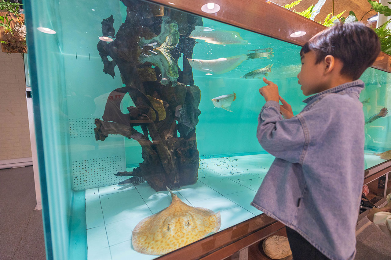 來馬食光｜2025苗栗頭份美食推薦｜苗栗聚餐餐廳推薦｜頭份美食推薦