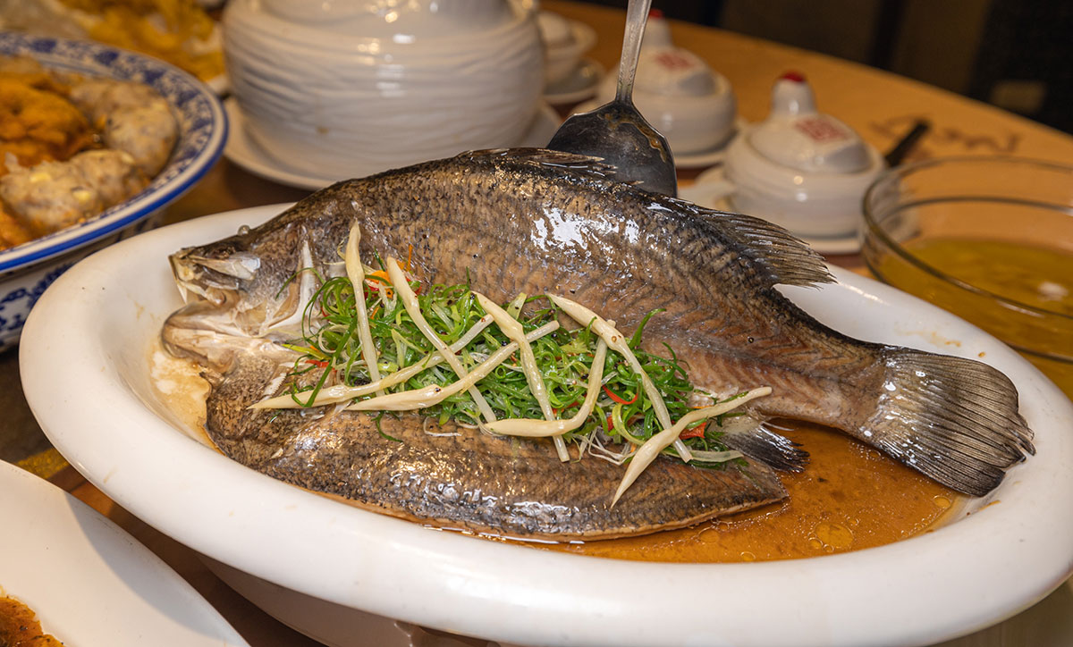 金都餐廳｜2024年菜推薦