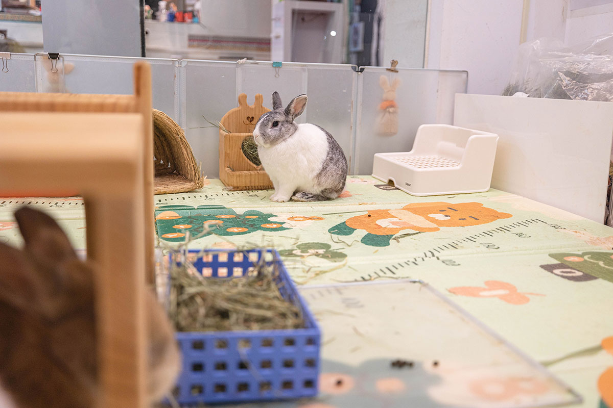 綠萼159地中海南法料理