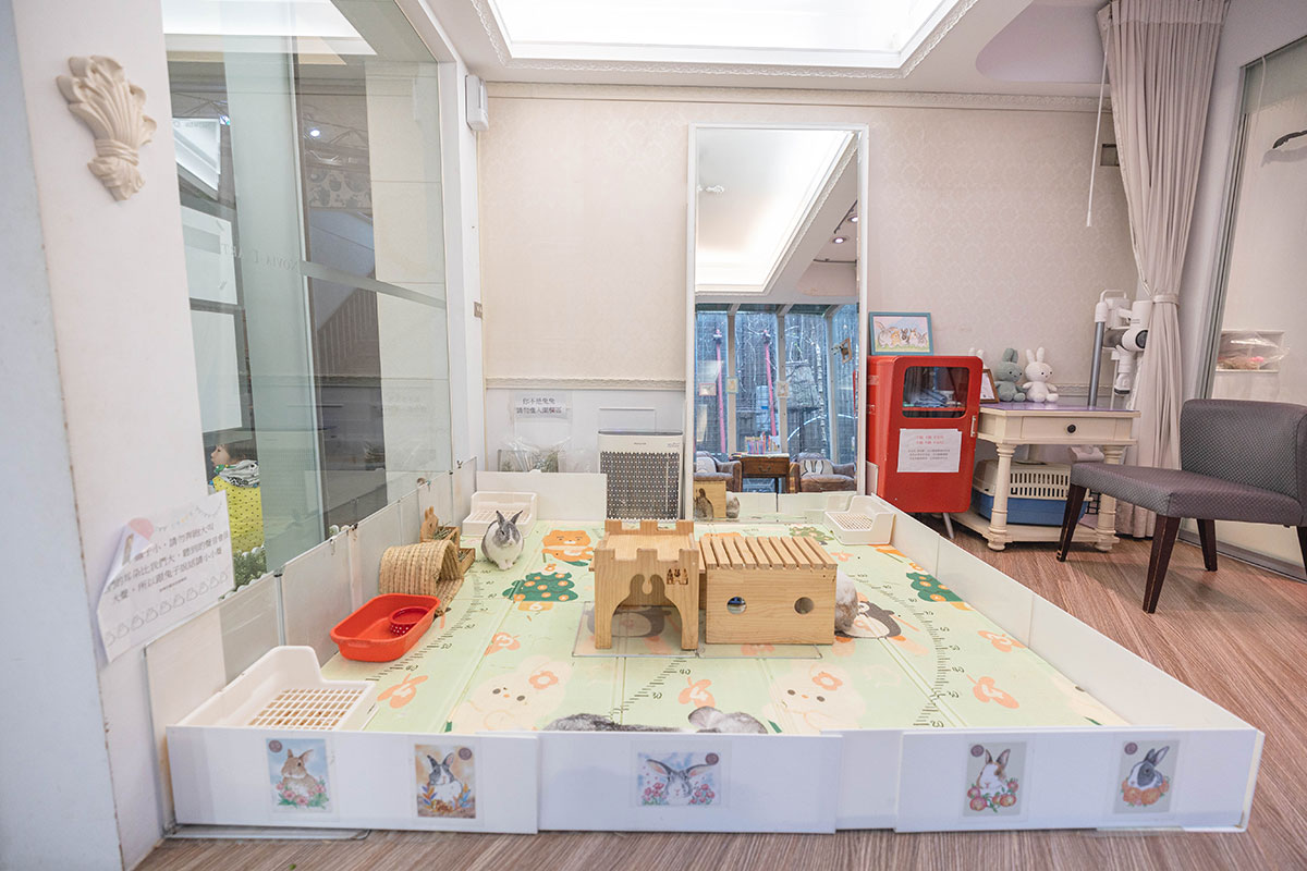 綠萼159地中海南法料理