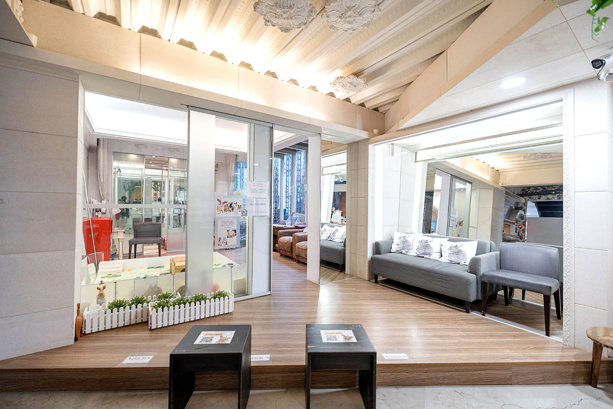 綠萼159地中海南法料理