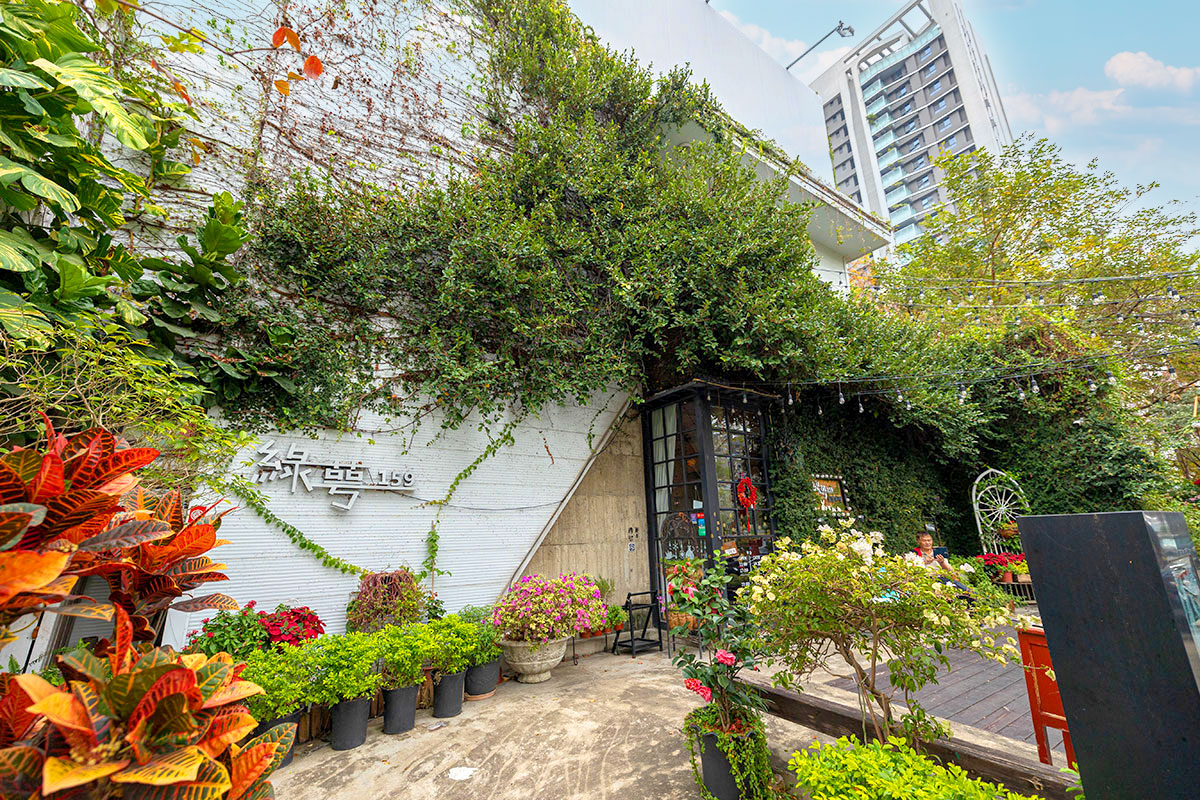 綠萼159地中海南法料理