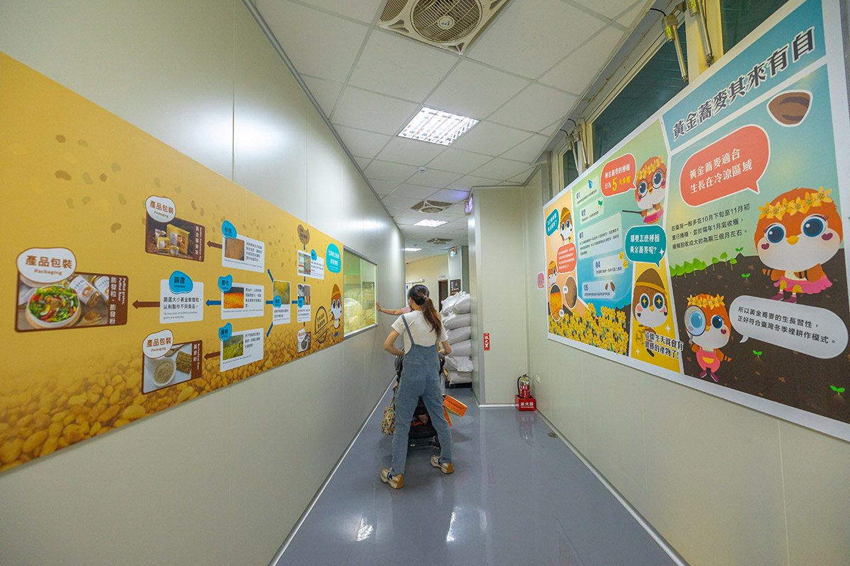 YOCITY元宇宙台灣黃金蕎麥探索館