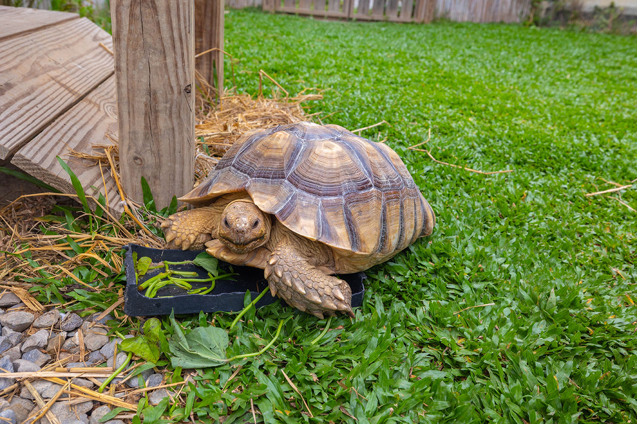 tk東京衛浴-台中旗艦店