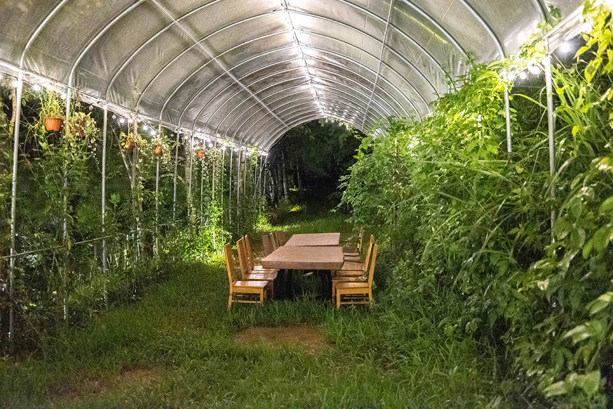 葉子祕境｜南投民宿推薦