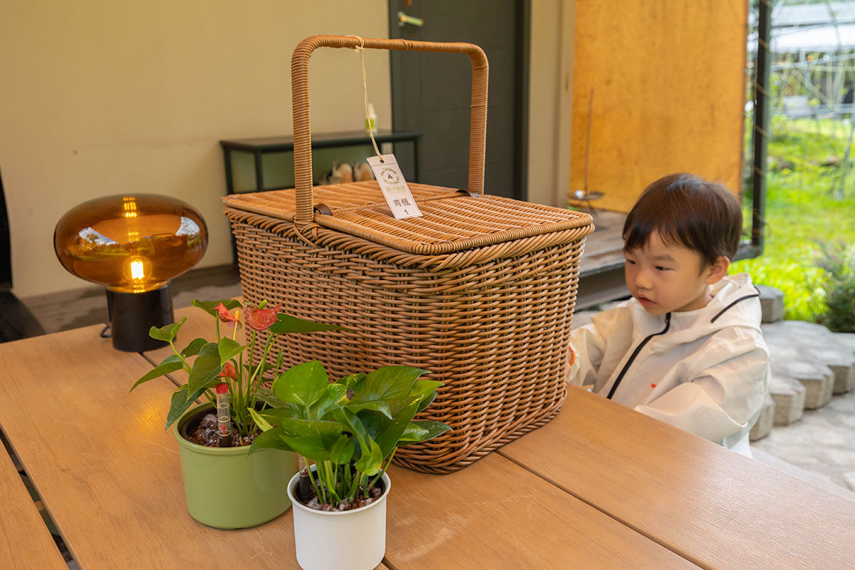 葉子祕境｜南投民宿推薦