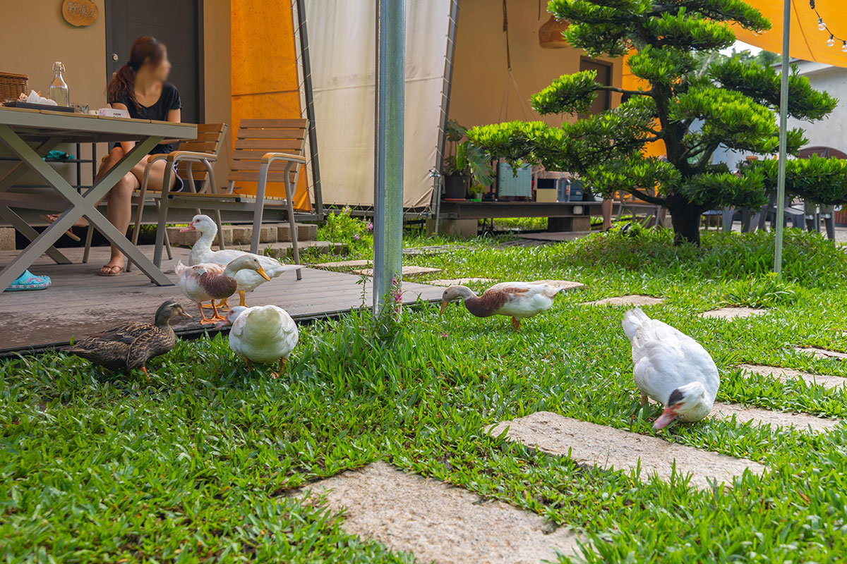 葉子祕境｜南投民宿推薦