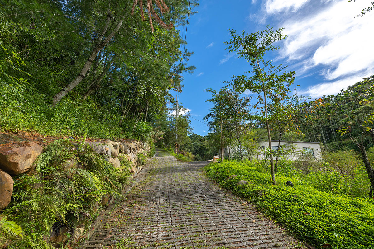 葉子祕境｜南投民宿推薦