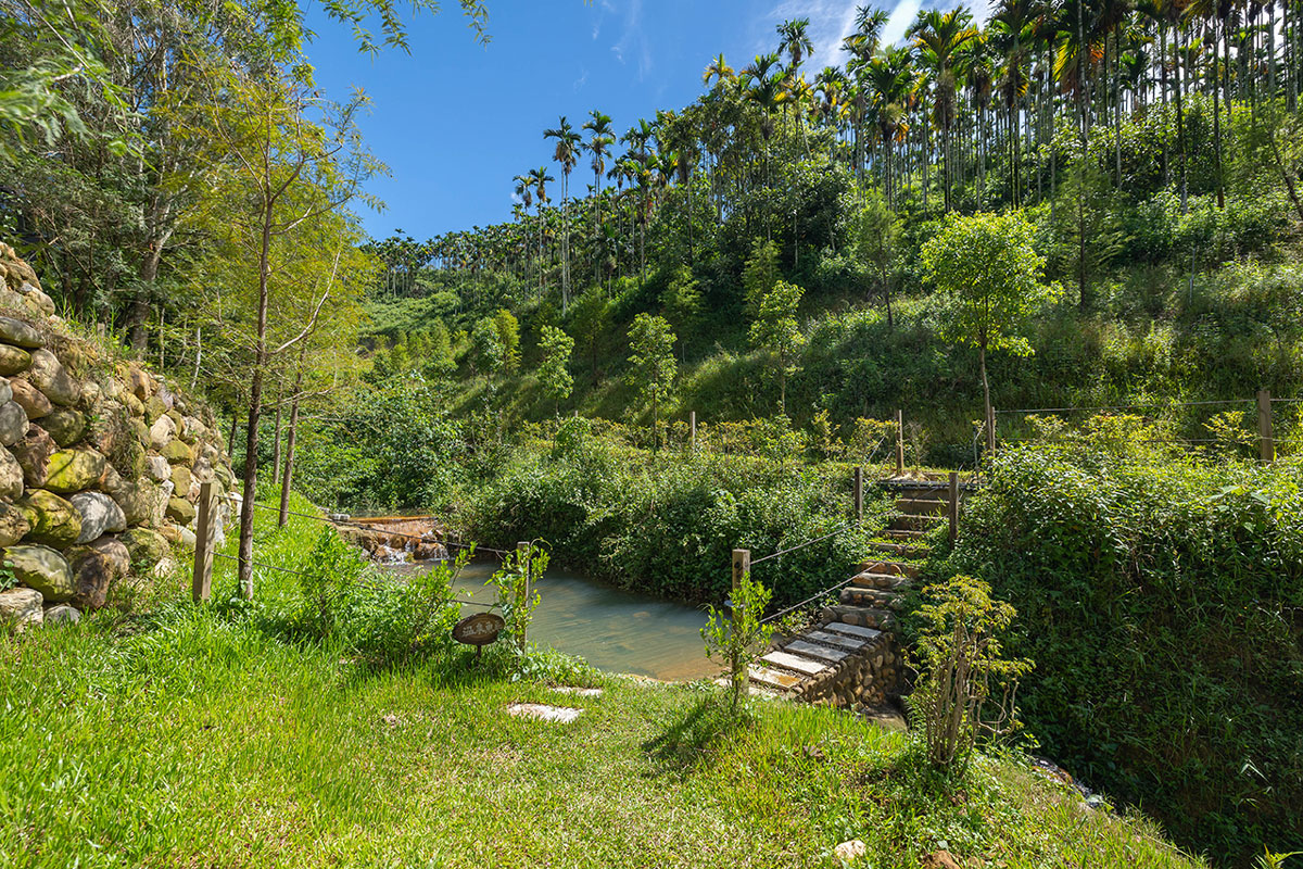 葉子祕境｜南投民宿推薦