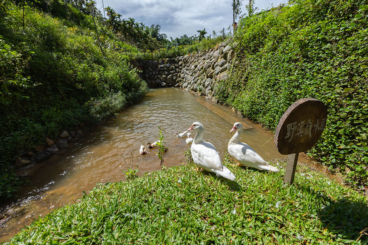 葉子祕境｜南投民宿推薦