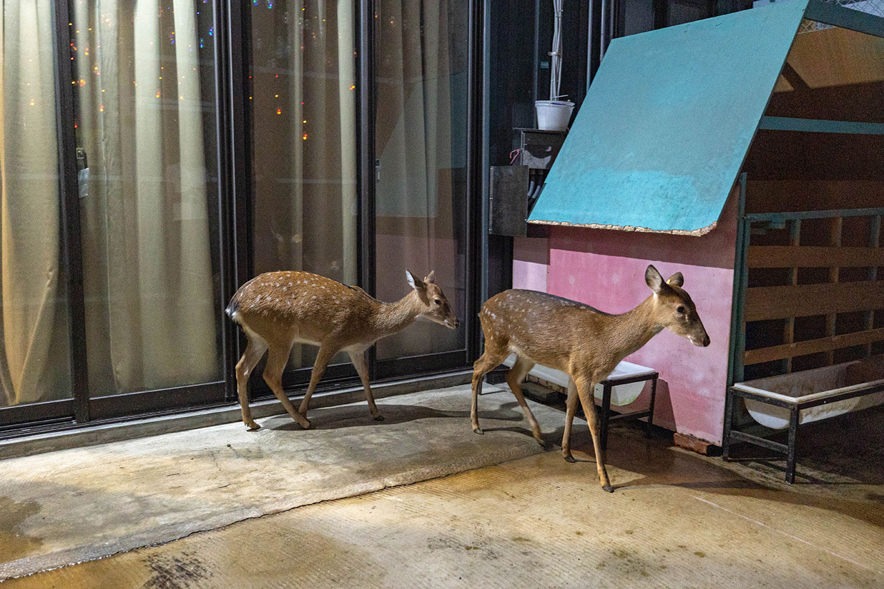船艙せんしつ台中北屯日式料理推薦｜台中無菜單料理推薦