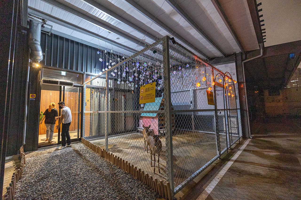 船艙せんしつ台中北屯日式料理推薦｜台中無菜單料理推薦