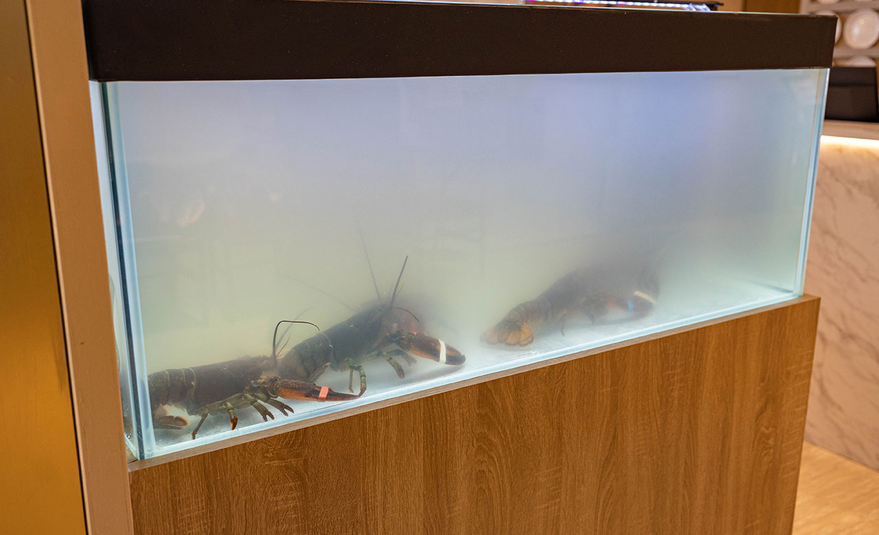 明水然・樂台南中山店｜台南無菜單料理推薦｜2025台南美食推薦