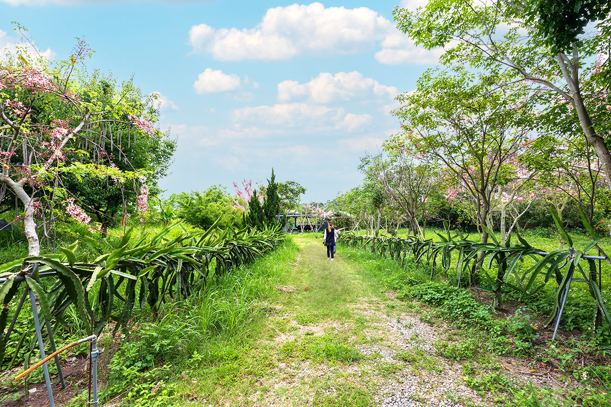 2025台中親子景點推薦-人間食解生態園養生坊