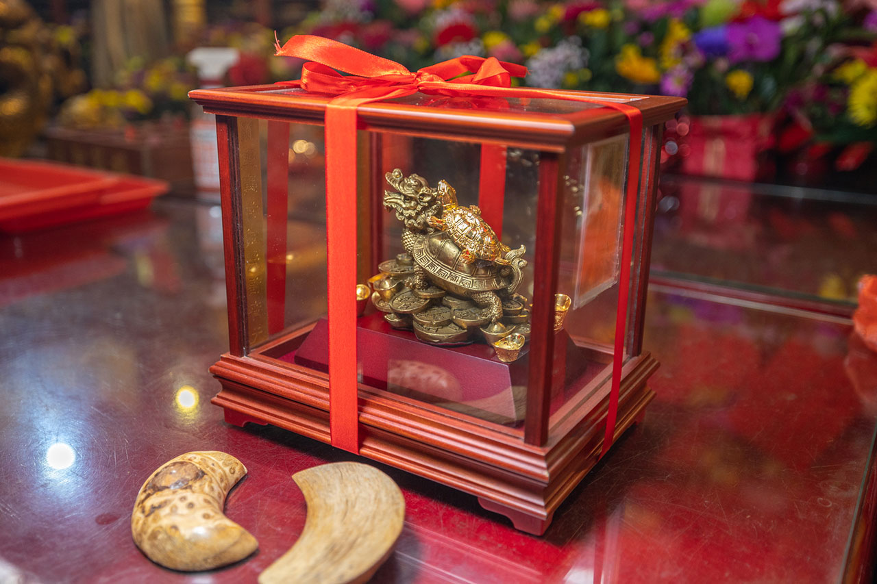 台中南天宮｜汽車過火-求台中南天宮金錢龜