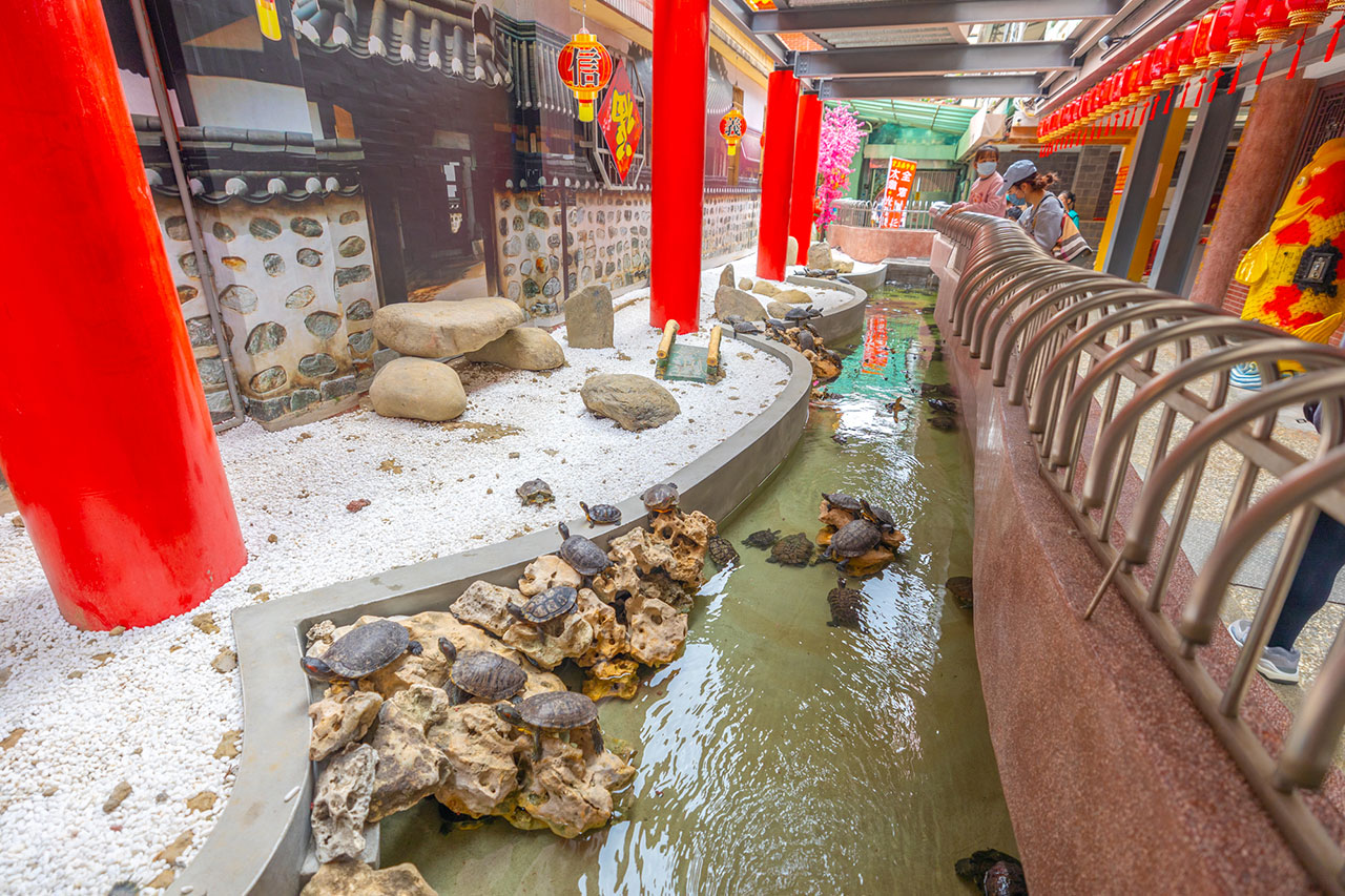 台中南天宮｜汽車過火-求台中南天宮金錢龜