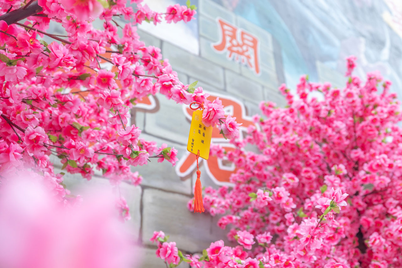 台中南天宮｜汽車過火-求台中南天宮金錢龜