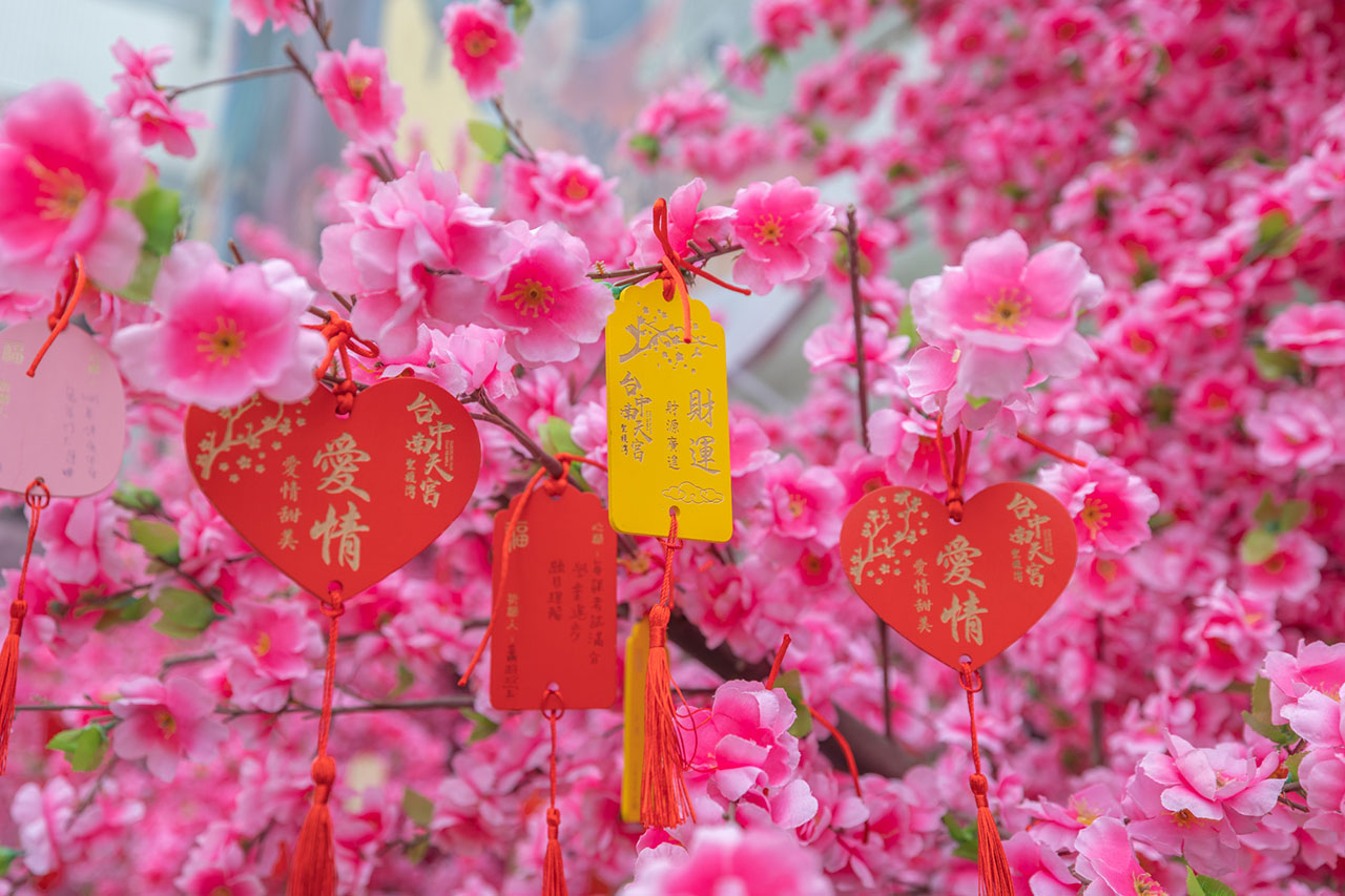 台中南天宮｜汽車過火-求台中南天宮金錢龜