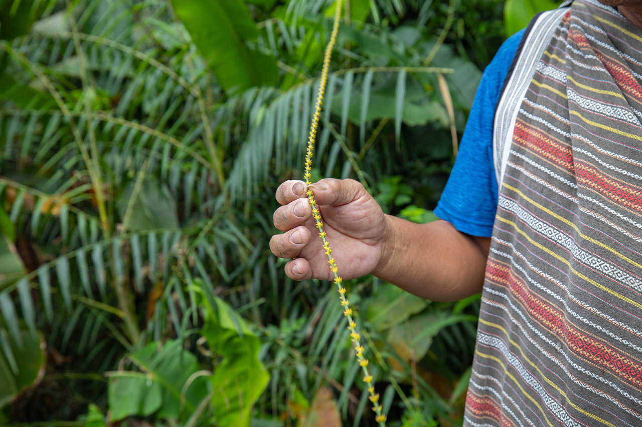 宜蘭大同樂水社區-泰雅部落文化體驗遊