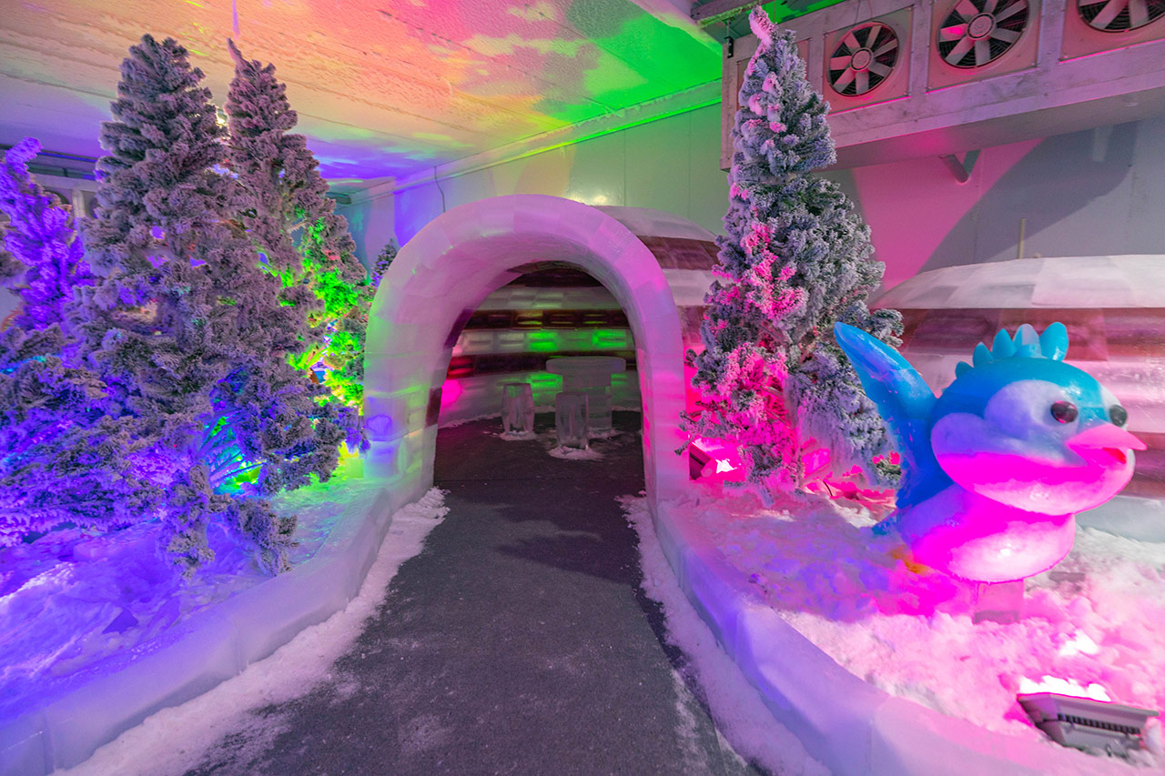 2025屏東夏日嘉年華免費入園｜童話冰宮｜狂歡遊樂園海盜船、瘋狂蛋糕，氣墊城堡、夏日兜風樂園賽車｜夏日遊園｜屏東夏日派對活動推薦