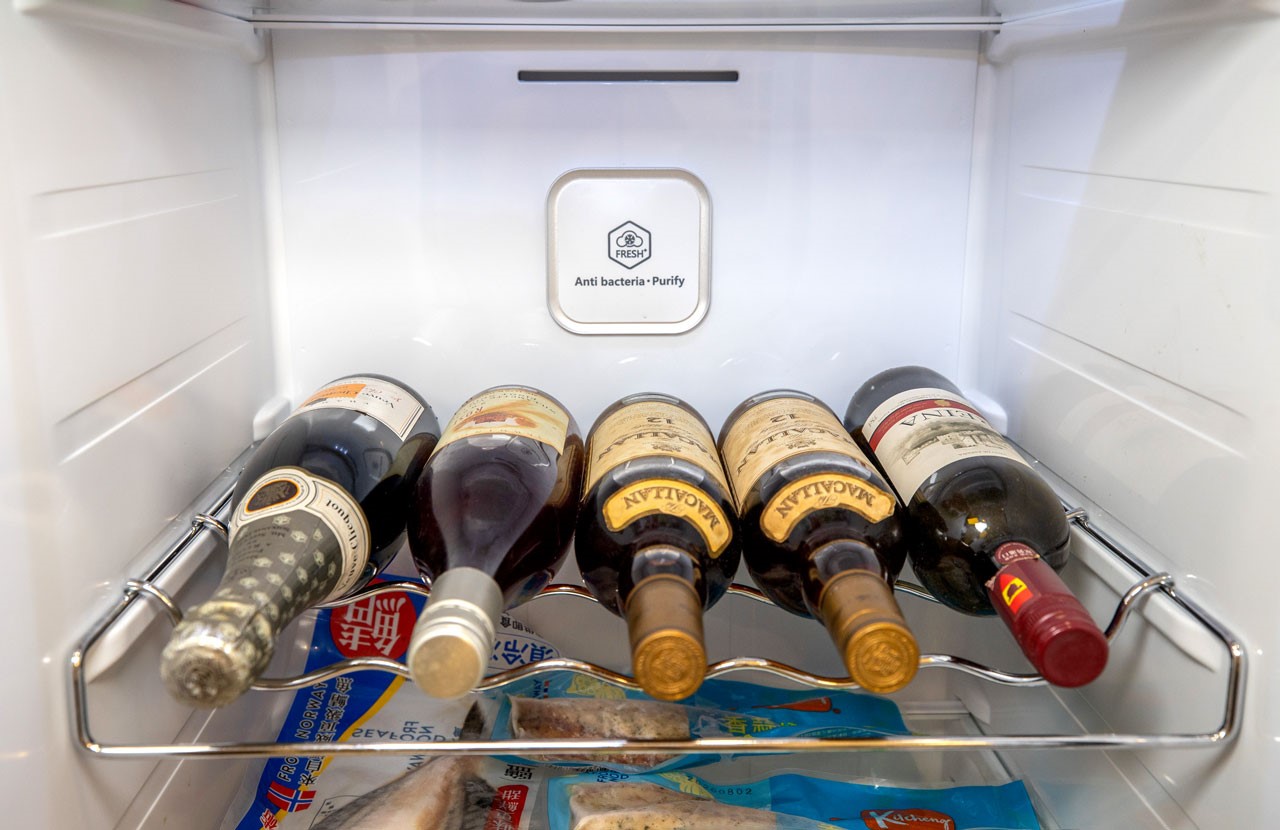 大同玩色超薄對開雙門冰箱｜買冰箱注意事項｜挑選冰箱｜買冰箱